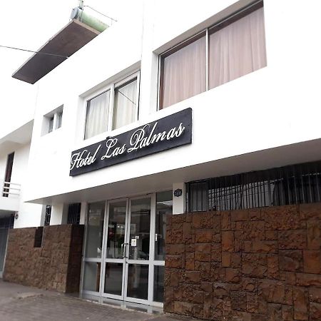Hotel Las Palmas أريكا المظهر الخارجي الصورة