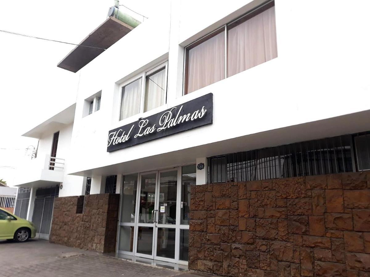 Hotel Las Palmas أريكا المظهر الخارجي الصورة