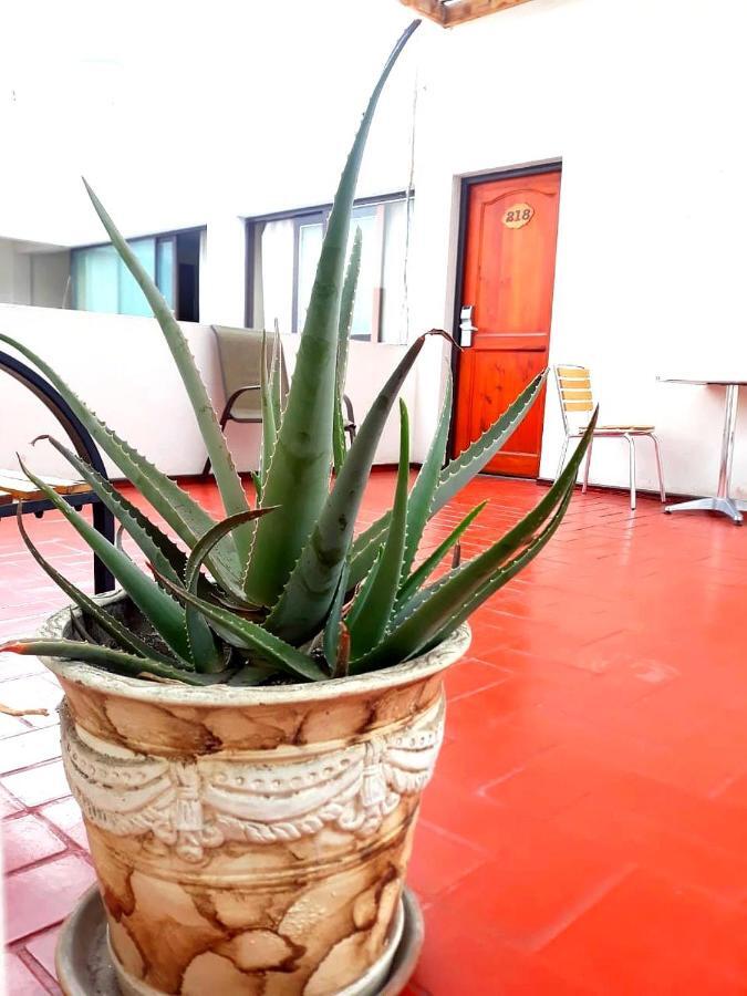 Hotel Las Palmas أريكا المظهر الخارجي الصورة